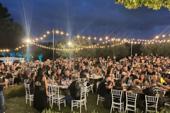 20250802_193142000_iOS