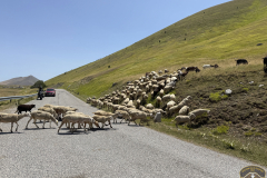 Campo_imperatore_15