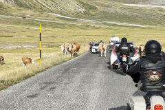 Campo_imperatore_33