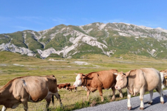 Campo_imperatore_61
