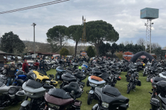 COMPLEANNO-GOLDEN-HILLS_08