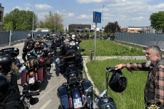 HOG-PRIMAVERA_10