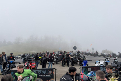 HOG-PRIMAVERA_42