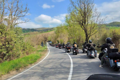 HOG-PRIMAVERA_57