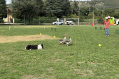 MOTO-PICIO-CORTONA_03