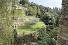 MOTO-PICIO-CORTONA_25