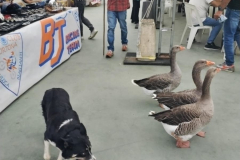 MOTO-PICIO-CORTONA_31