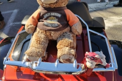 ROMA-E-PESCARA-CHAPTER_14