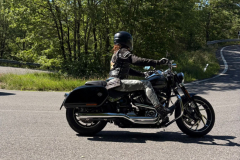riding-academy_19